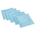 The Glass Rag